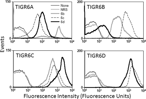 FIG. 1.