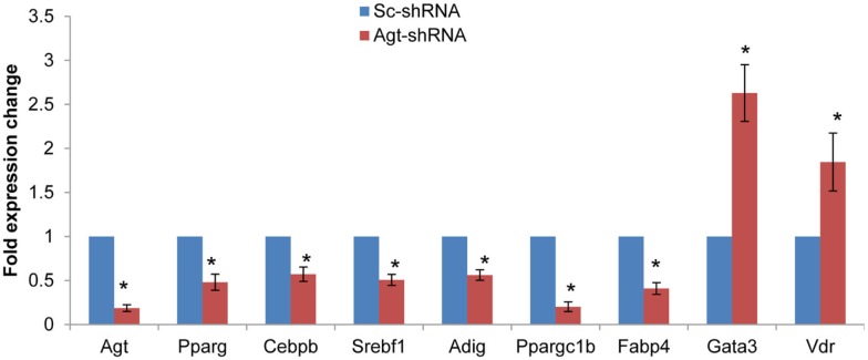 Figure 5