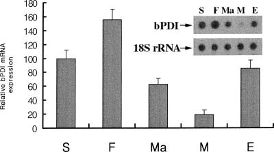 Fig 2.