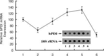 Fig 5.