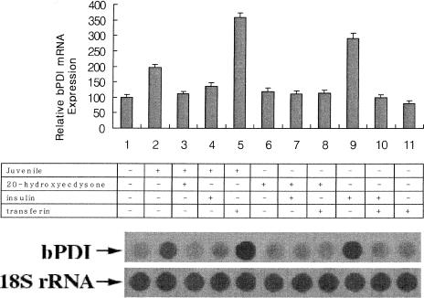 Fig 4.