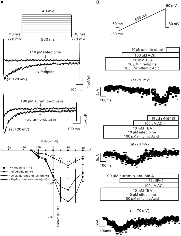 FIGURE 9