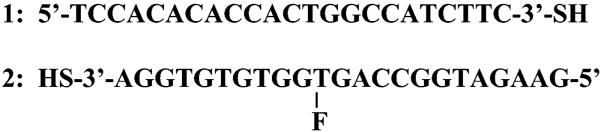 SCHEME 3