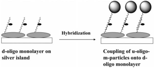 SCHEME 2