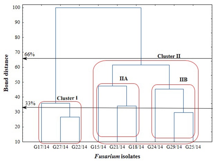 FIGURE 13