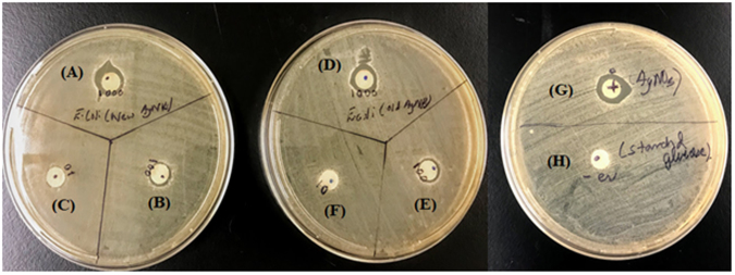 Figure 9