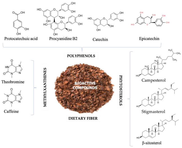 Bioactive Compounds From Cocoa Husk: Extraction, Analysis And ...