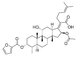 graphic file with name antibiotics-11-01026-i025.jpg