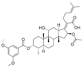 graphic file with name antibiotics-11-01026-i019.jpg