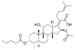 graphic file with name antibiotics-11-01026-i005.jpg