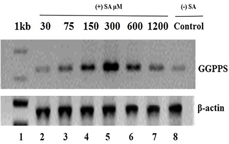 Fig 9