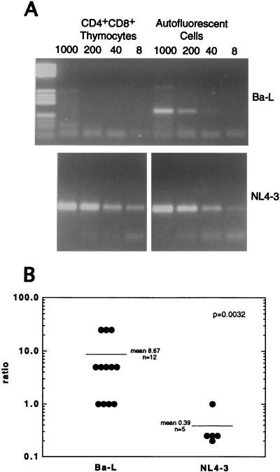 FIG. 5