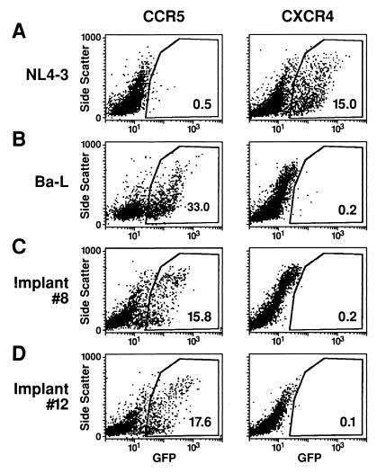 FIG. 6