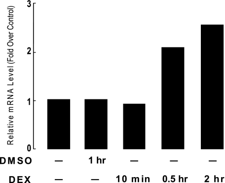 FIGURE 2.