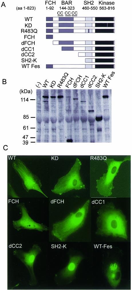 Figure 6.