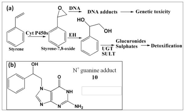 Scheme 6