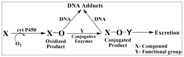 Scheme 3