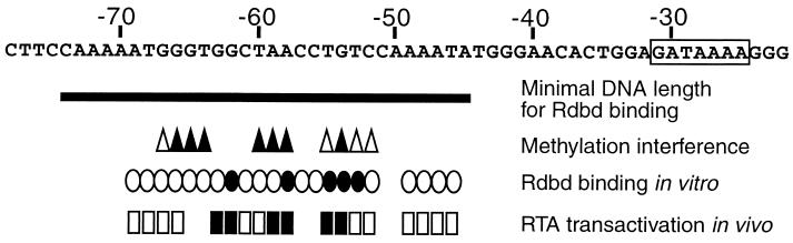 FIG. 9.