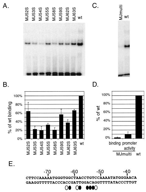 FIG. 8.