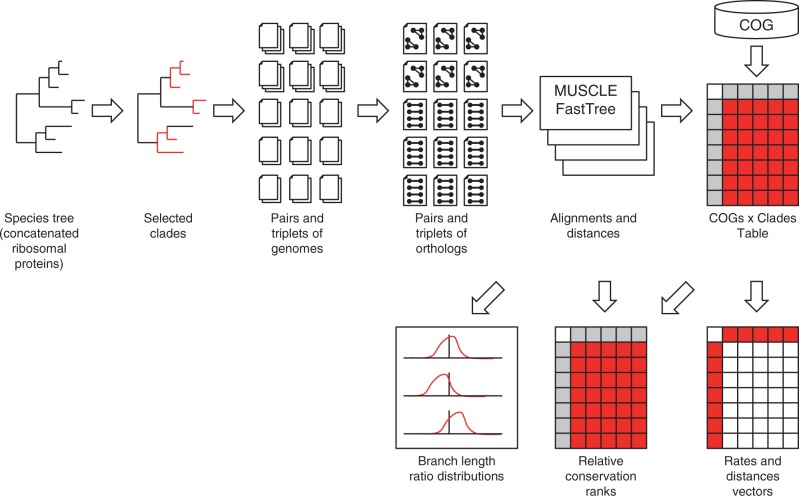 Fig. 1.—