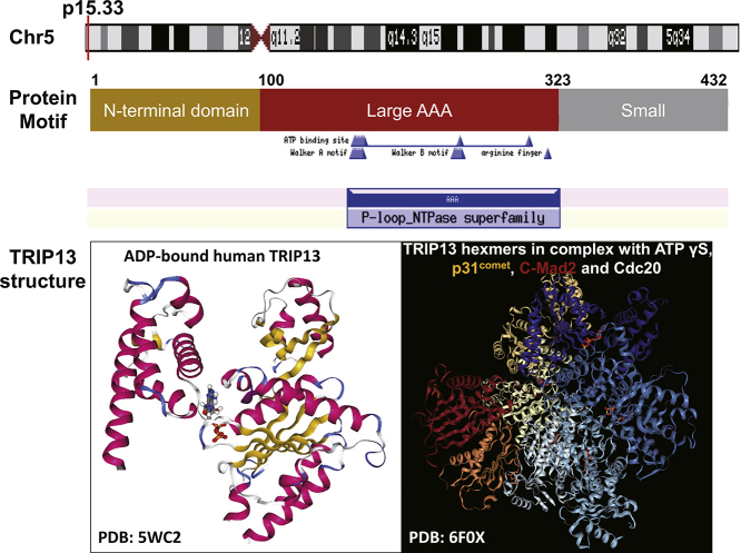 Unlabelled Image