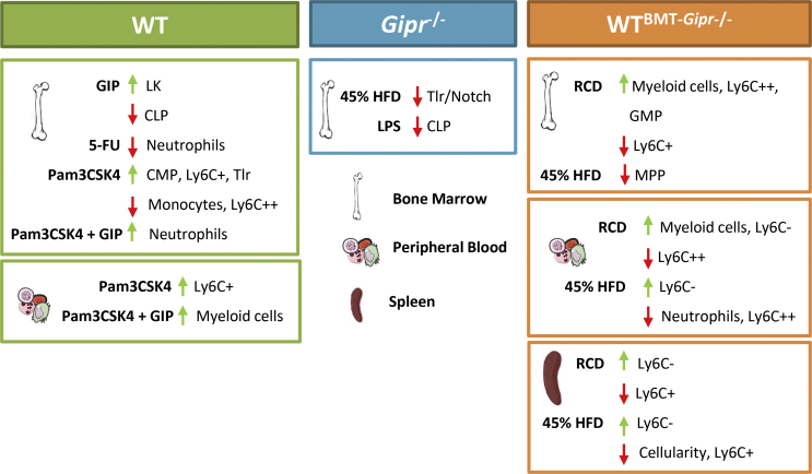 Figure 6