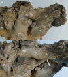 Fig. 10