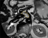 Fig. 9