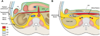 Fig. 8