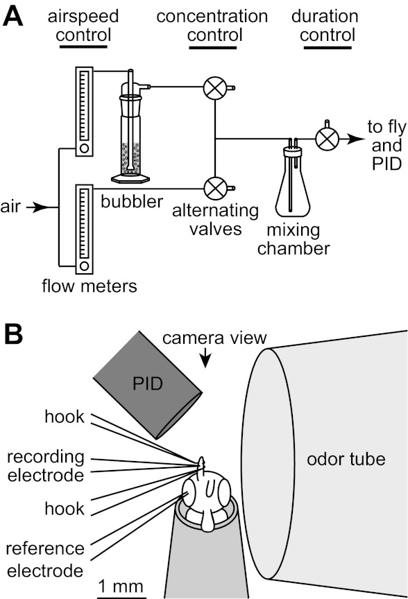 Fig. 2.