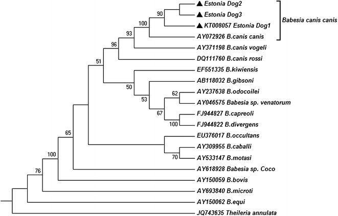 Fig. 2