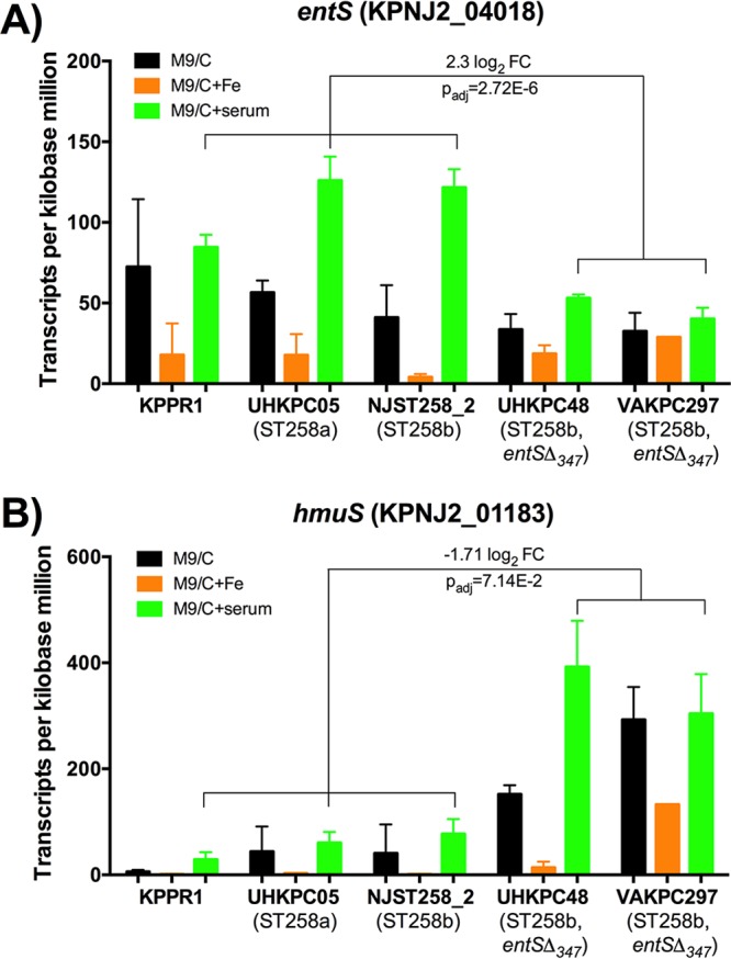 FIG 2 