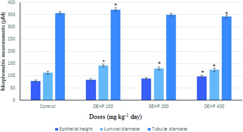 Fig. 9