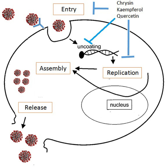 Figure 1.