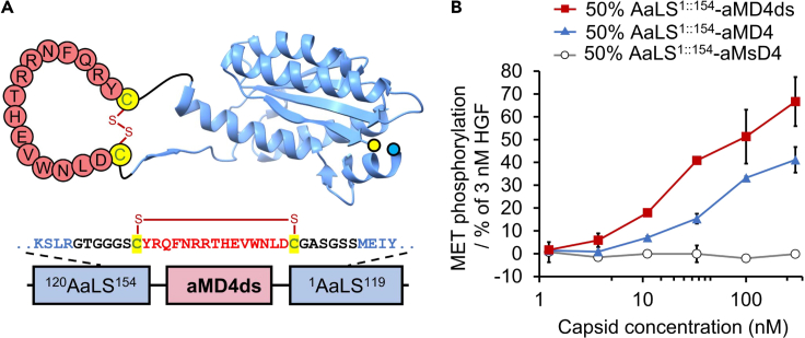 Figure 2