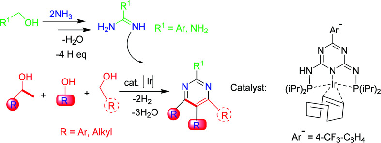 Scheme 7