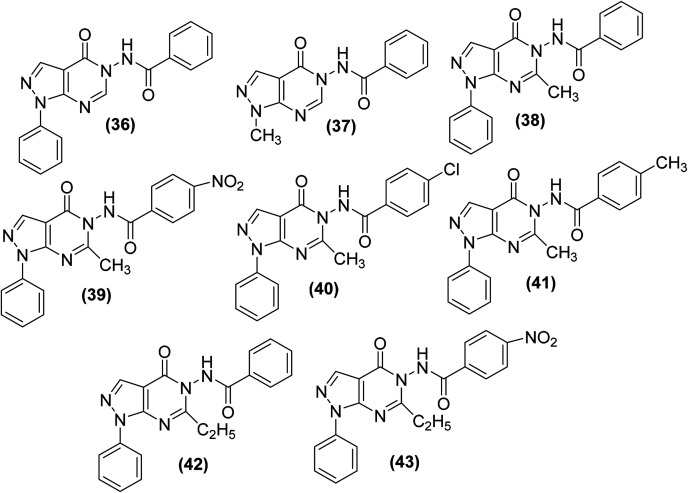 Fig. 12