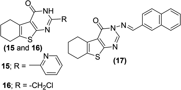 Fig. 8