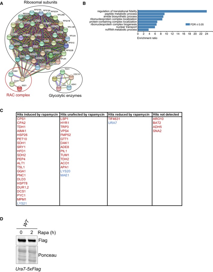 Figure EV3