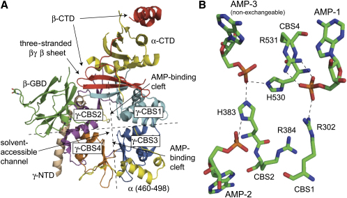 Figure 1