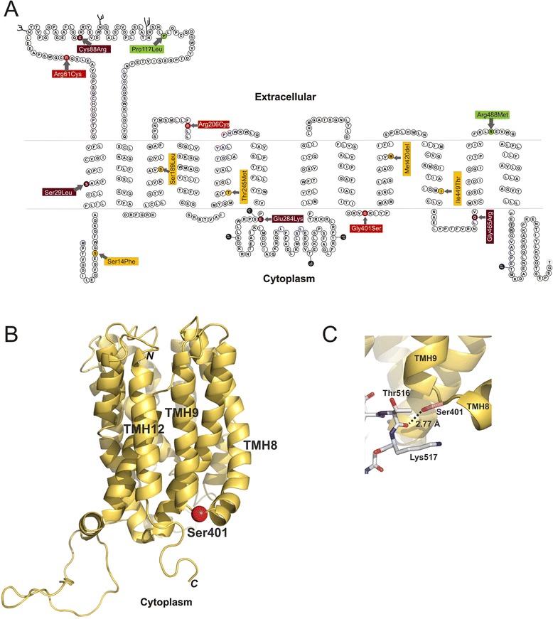 Fig. 8