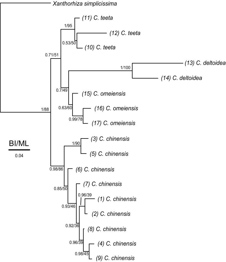 Fig. 2