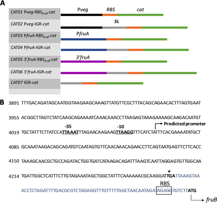 FIG 6