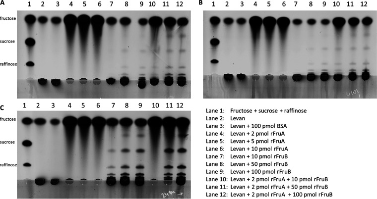 FIG 4