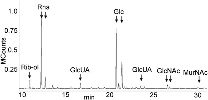 Fig. 2.