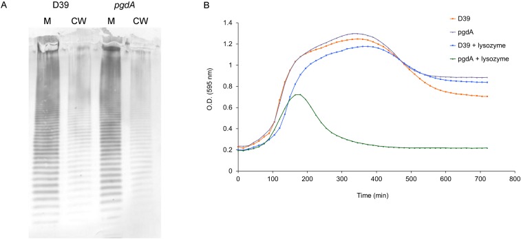 Fig. S1.