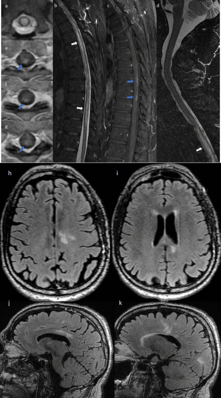 Fig. 4