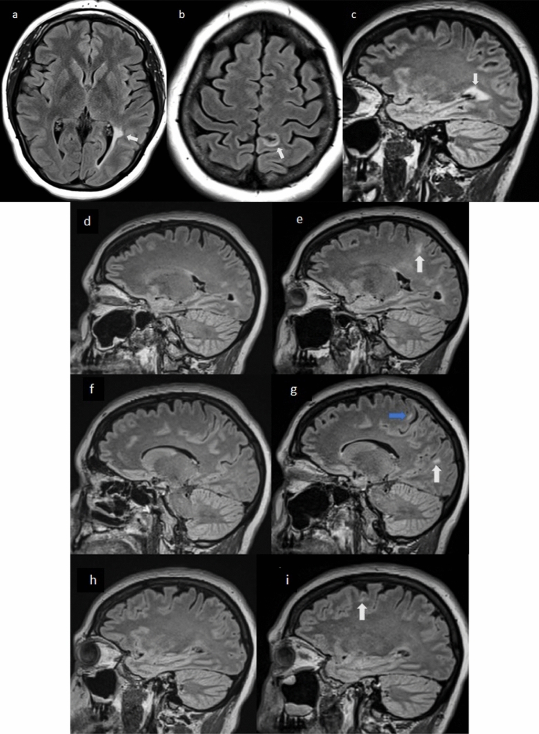 Fig. 7