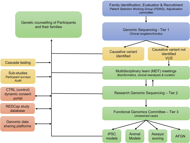 Figure 1