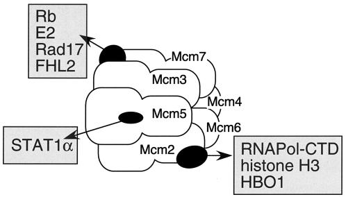 FIG. 5.